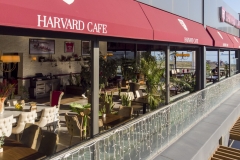 harvard-cafe-6